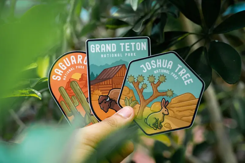 Mano sosteniendo varios stickers troquelados de colores